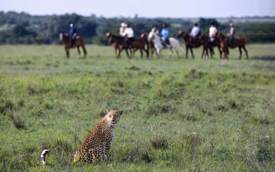 Kenya Riding Safari